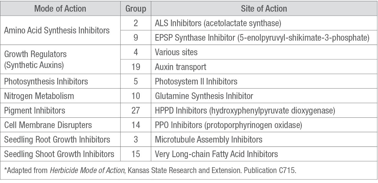 Summary of mode, site of action and classification group for common corn herbicides.